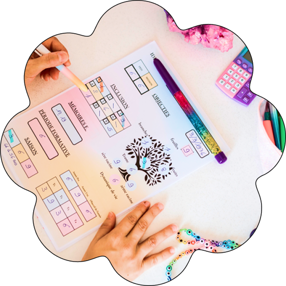 steralya-guidance-cartes